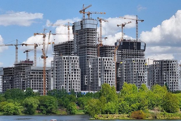 owl_detail_620_00db7ac14cf402e3656056102881cfcf