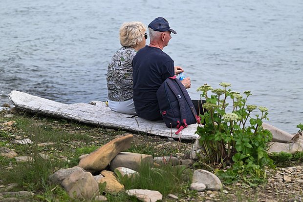 owl_detail_620_0f0d5cce38554c75e2139f98d6618aac