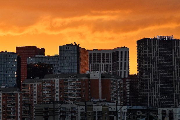 owl_detail_620_1a7290f6e070db1a5eb121a711c16d9f