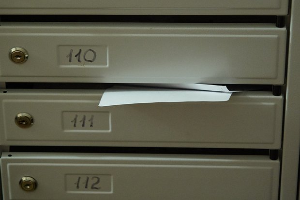 owl_detail_620_1fd462b870662add4bff840cd70f1275