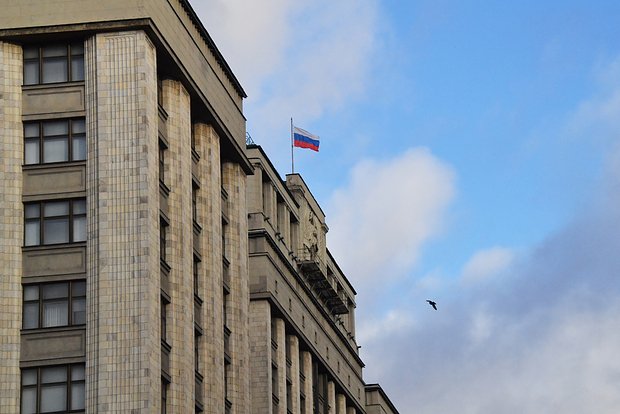 owl_detail_620_238e5ae3c40517de46524a7d376a08af