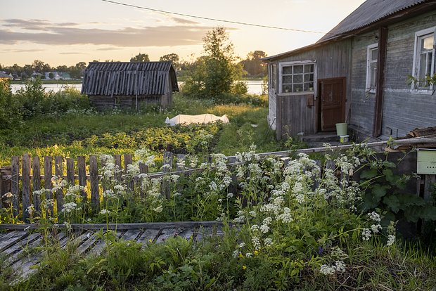 owl_detail_620_2515dbd2cb56efb63f94ac9dd4265ca4