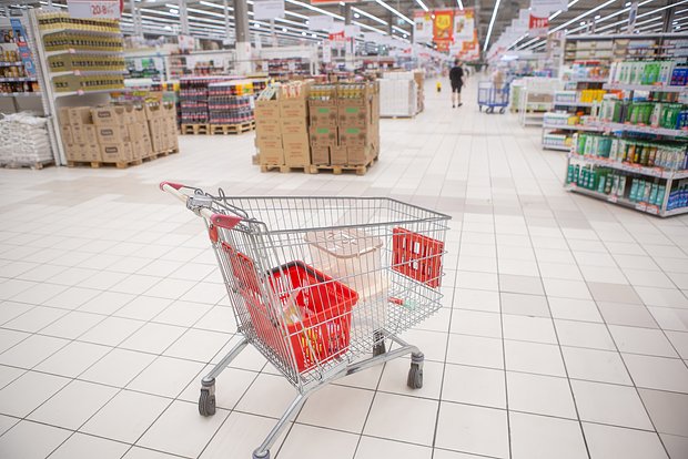 owl_detail_620_278e97cf43206e18f04c62108ffd1092