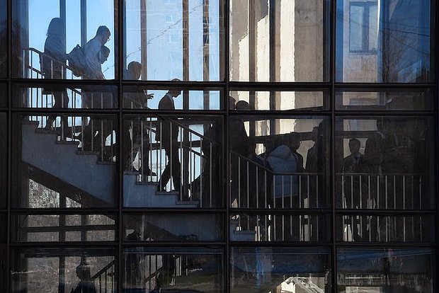 owl_detail_620_29f7135fa2525e99e3607e19d075555d