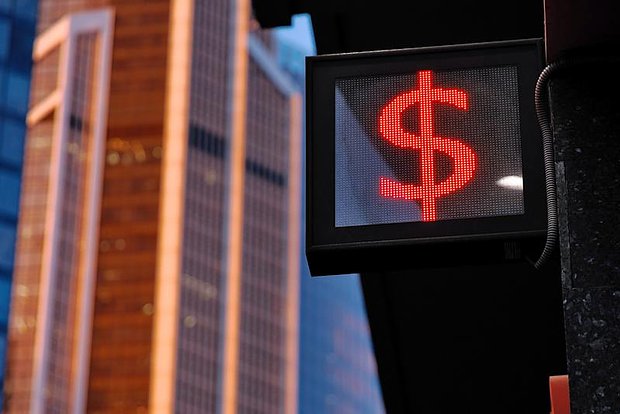 owl_detail_620_2b627827ba248a1713a1d3b3ffefba00