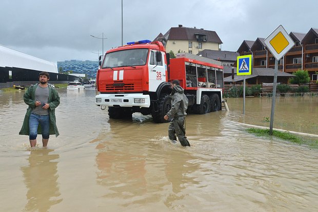 owl_detail_620_3efc011db75524a235044f06b3df95da