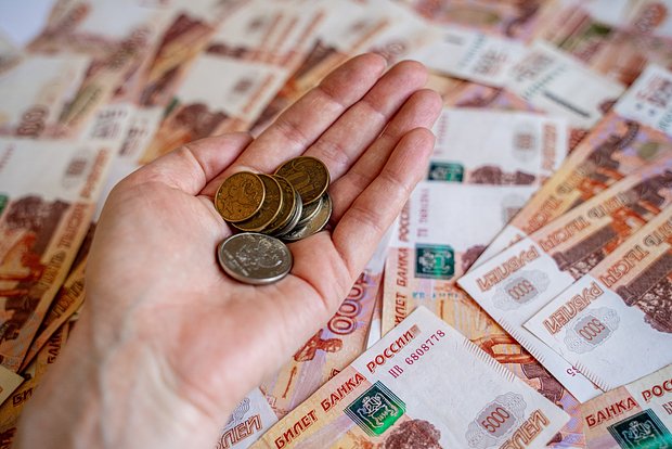 owl_detail_620_48ffedb055a6629a7cf8830aeb74c5fb