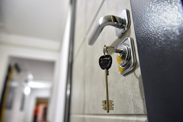 owl_detail_620_4e57fb843fd0f6d849d99d61933f8df5