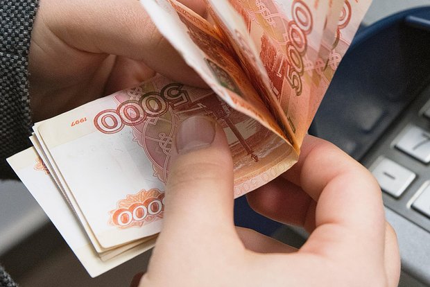 owl_detail_620_5a3b9317a2322c3dea6668c9ceff15ad