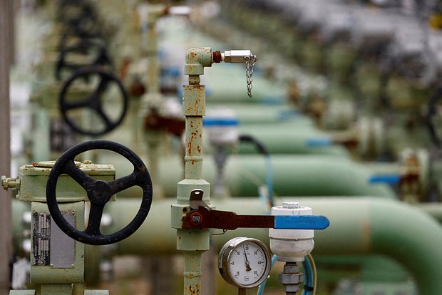 owl_detail_620_77df0cc6b4c6d5b85bcc0fe7dc8e3280