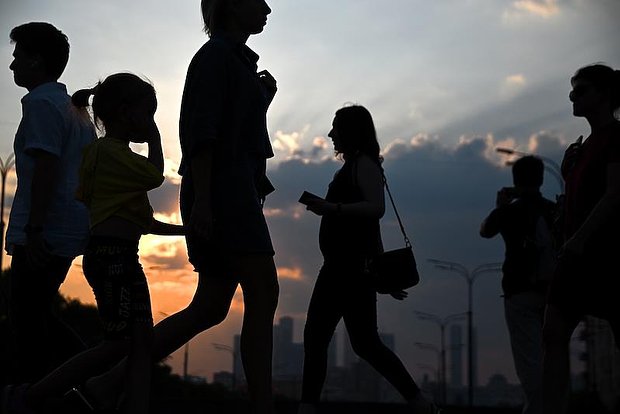 owl_detail_620_78b4278dd54ca3b844fc8605d3c78877