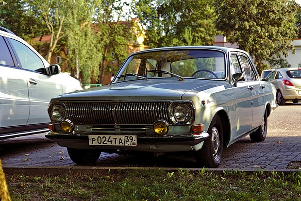 owl_detail_620_7c9c07f279eedda95c2f7904f3143d6d