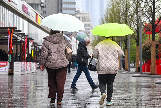 owl_detail_620_87756bacbd3e82c623c460a0922c5e7a