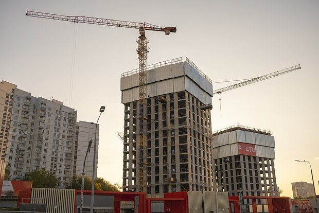 owl_detail_620_8884f5e0bb5e9822451f2b33cc29c5e1