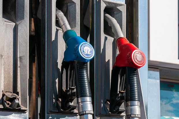 owl_detail_620_9198562f271ceeef3b3e2fee502e5fd0