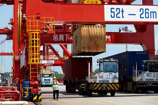 owl_detail_620_92c1d675929f19e3533b58c411aeb6e7