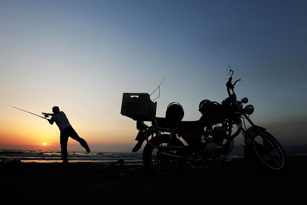 owl_detail_620_9cc44716dc1ed45b48510336bff7ed5d