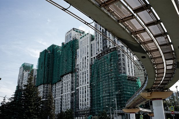 owl_detail_620_9e0a1aadcbbefdd25d3ed640474d9f4d