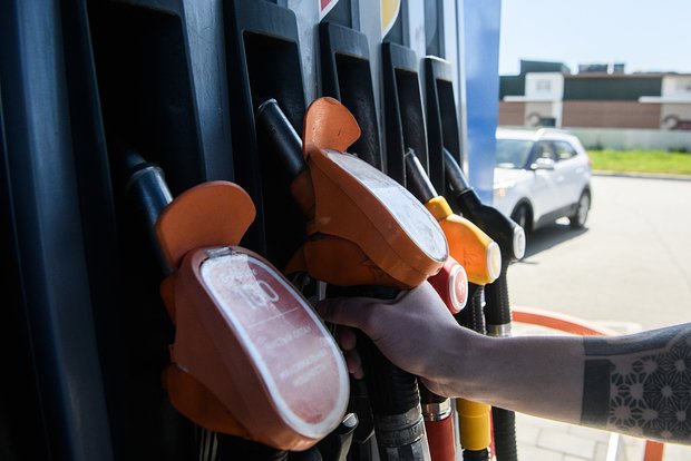 owl_detail_620_a2bfd1688115ab4ddfcf87e2bf3b3064