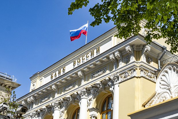 owl_detail_620_a45d3b1caa12e105a29aec0b0aa6c6bd