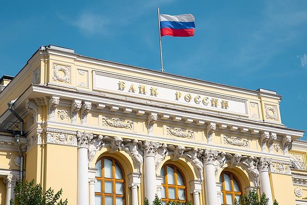 owl_detail_620_a7defecefee06b8454532d8c862e4a13