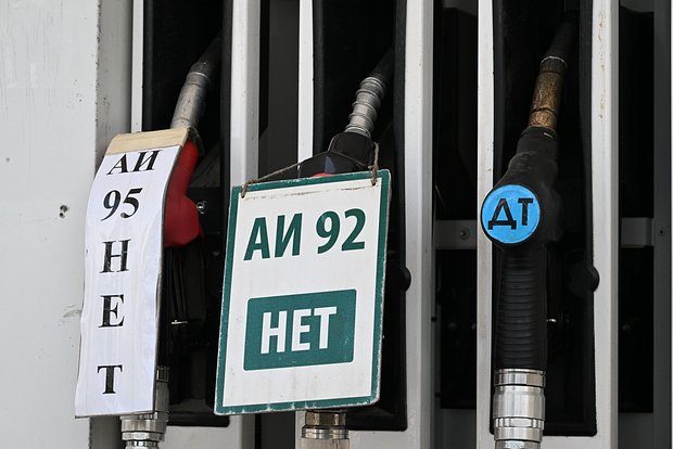 owl_detail_620_adb633a2eaf109e8312a8bb0b28debab