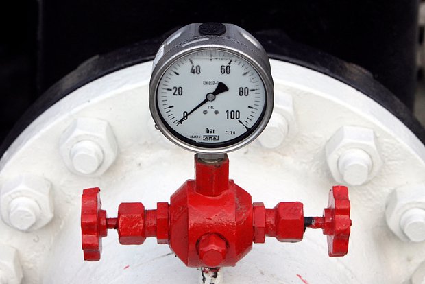 owl_detail_620_b3dc1682a13bafc7e641da06b6d74119