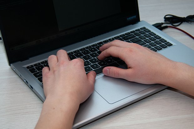 owl_detail_620_b41517bada3e7a195ff52c03721e2112