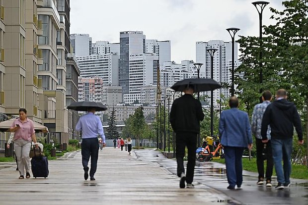 owl_detail_620_bae4375b9a58e3bcf9f4a9e8f034e4af