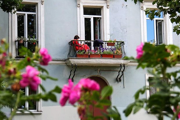 owl_detail_620_c2337330472ea940dc32bcda307bd65a