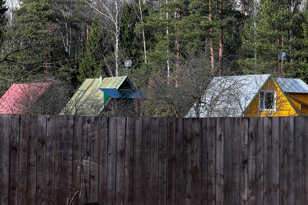 owl_detail_620_c44e62624d0b395cdf821c6758013854