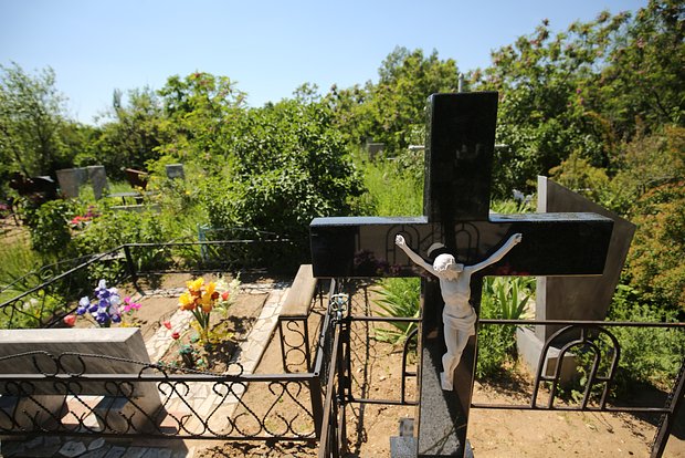 owl_detail_620_d6cbc4dc65375dda6aa321a580e3674a