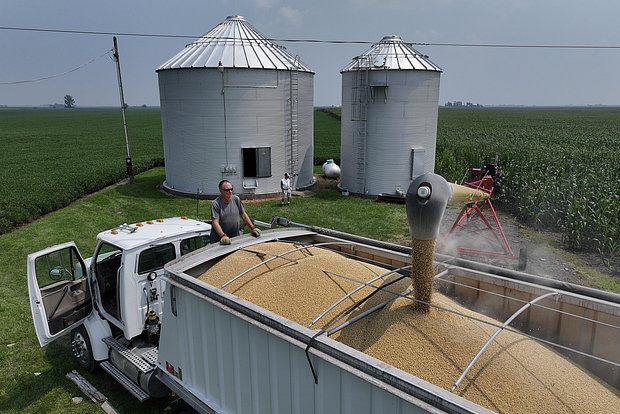 owl_detail_620_d7269700c7f31264a6652b2c52937ba6