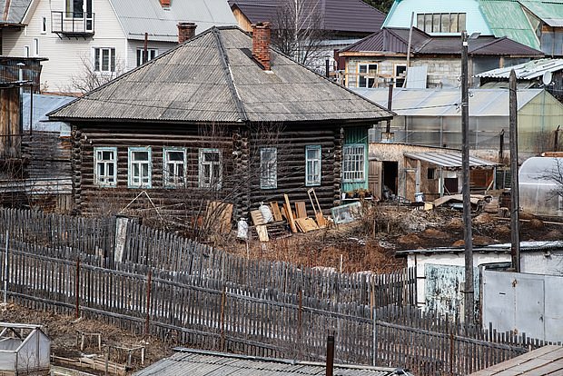 owl_detail_620_dcdba3884d132ce79789f72213dc732e