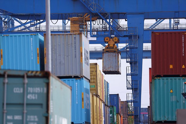 owl_detail_620_dd7fe4296a7f2c6a96d39750fbe5add9