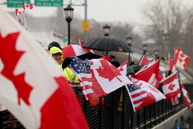 owl_detail_620_e3979aecf3375ad35b2cf5f1c5911610