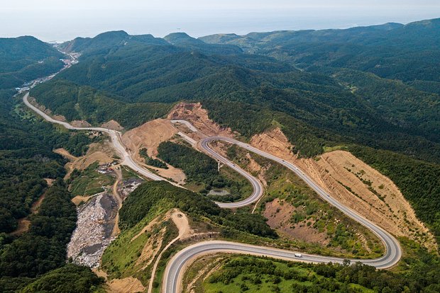 owl_detail_620_e54ddc983d4c0cdea7b1f092f6b87ba5