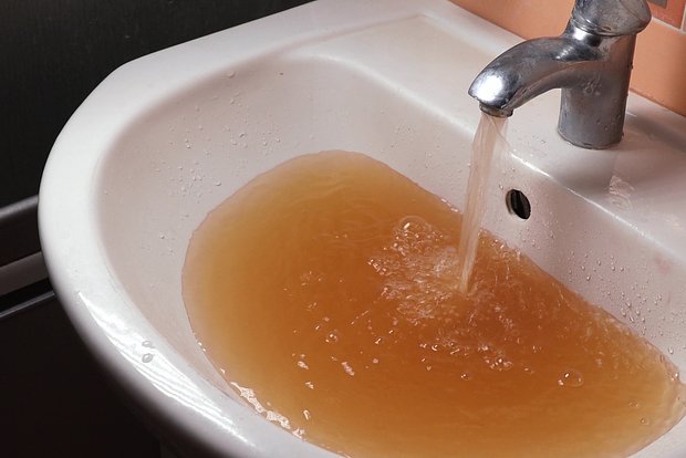 owl_detail_620_e5e2f6f017ff09529a1c63cc450de521