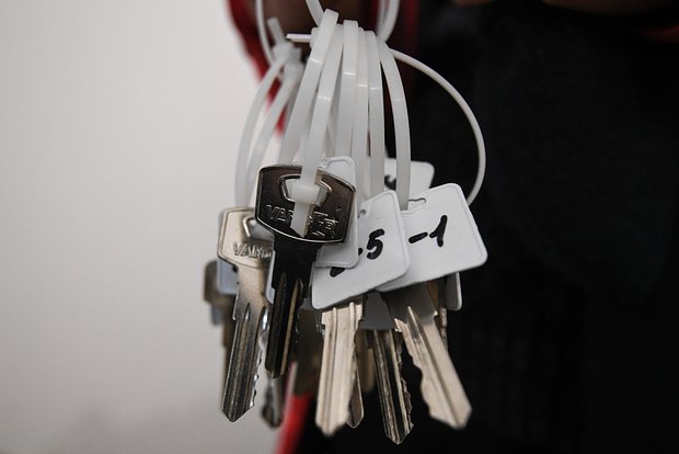 owl_detail_620_f42ec34f4e49dec27987631b1a0f3601